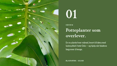 Side 3 av Produktlansering — abonnement på stueplanter