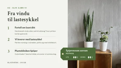 Side 4 av Produktlansering — abonnement på stueplanter