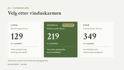 Side 6 av Produktlansering — abonnement på stueplanter
