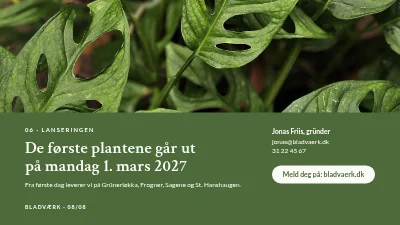 Side 8 av Produktlansering — abonnement på stueplanter