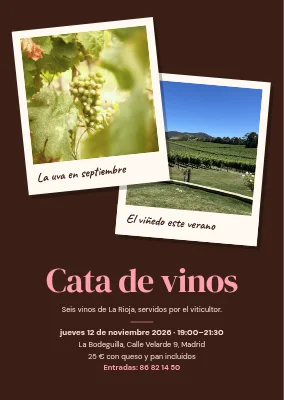 Cata de vinos — dos polaroids del viñedo