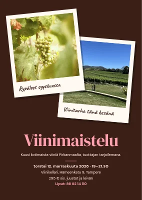 Viininmaistajaiset — kaksi polaroidia viinitarhalta