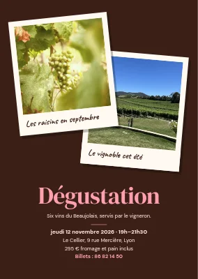 Dégustation de vins — deux polaroids du vignoble