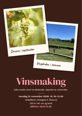 Vinsmaking — to polaroider fra vingården
