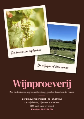 Wijnproeverij — twee polaroids uit de wijngaard