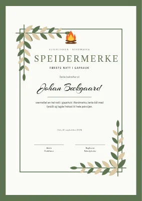 Speiderbevis — natt i gapahuk