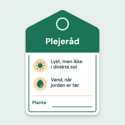Plejeråd til potten