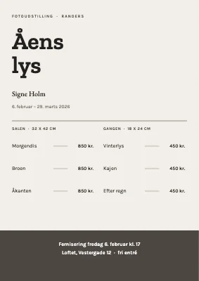 Fotoudstilling — åens lys