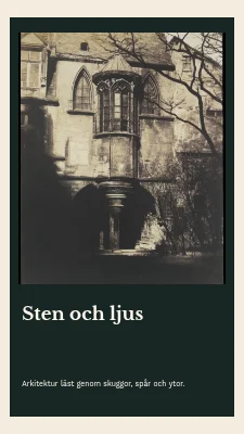Sten och ljus · Bokomslag