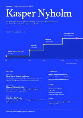 CV for økonom — karrierekurve