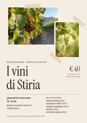 Degustazione di vini — i vini della Stiria