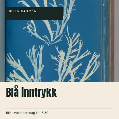 Blå inntrykk · Nedre avistittel