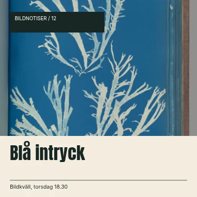 Blå intryck · Nedre sidhuvud