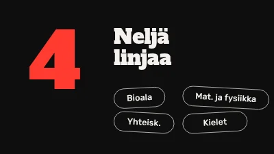 Sivu 4 – Lukion opintolinjat — infoilta