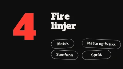 Side 4 av Videregående utdanningsprogrammer — informasjonskveld