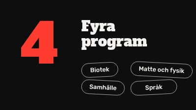 Sida 4 av Gymnasieprogram — informationskväll