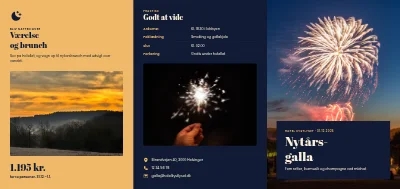 Nytårsgalla