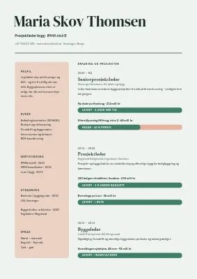 CV for prosjektleder — fremdriftslinjer