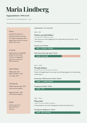 CV för projektledare — förloppsindikatorer