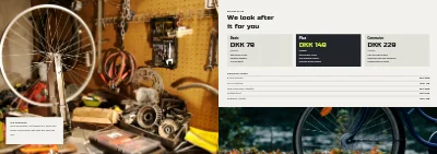 Páginas 20–21 de E-bike product guide for a bike shop – 24 pages