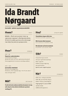 CV for journalist — reporterens spørsmål