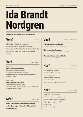 CV för journalist — reporterns frågor