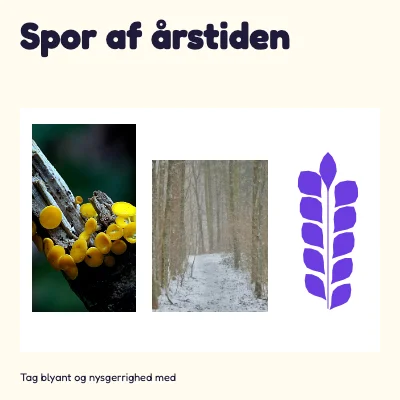 Spor af årstiden · Farverig læring