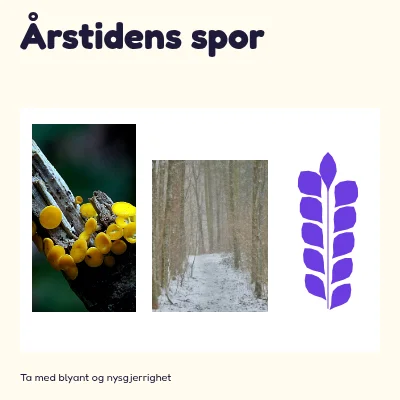 Årstidens spor · livlig læring