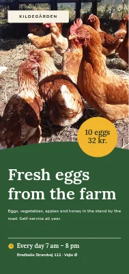Farm shop with fresh eggs near Vejle