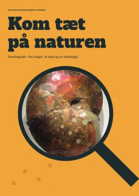 Familieguide til naturhistorisk museum – 24 sider
