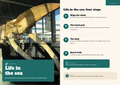 Pages 4–5 of Family guide to a natural history museum – 24 pages