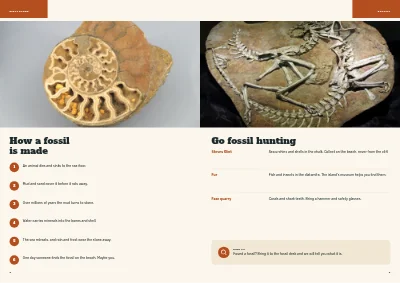 Pages 8–9 of Family guide to a natural history museum – 24 pages