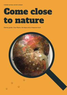 Family guide to a natural history museum – 24 pages