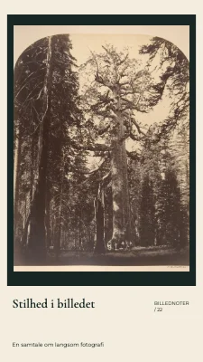 Stilhed i billedet · Indrammet print