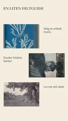Side 2 av Stillhet i bildet · Montert trykk