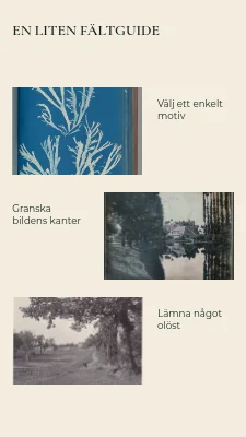 Sida 2 av Stillhet i bilden · Monterat tryck