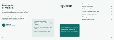 Side 2–3 af Patientguide fra kiropraktor – 16 sider