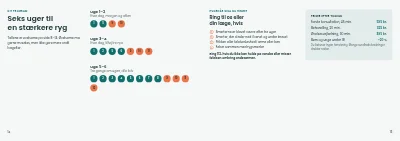Side 14–15 af Patientguide fra kiropraktor – 16 sider