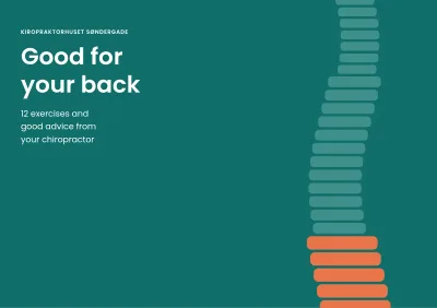 Patient guide from a chiropractor – 16 pages