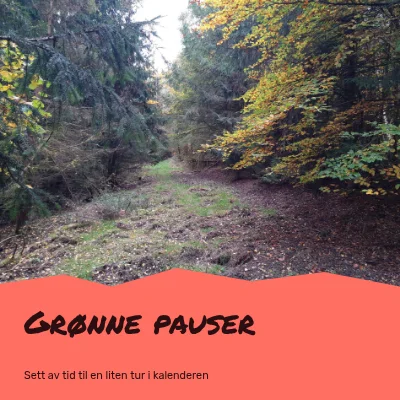 Grønne pauser · essay i papirklipp