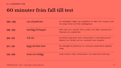 Sida 2 av Från intervju till insikt