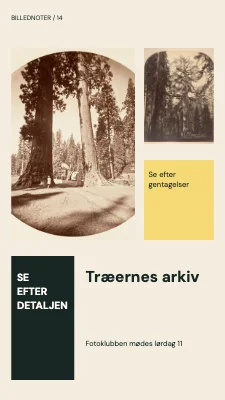 Træernes arkiv · Modulær journal
