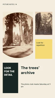 The trees’ archive · Modular journal