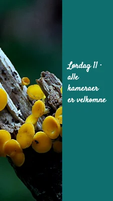 Side 3 af En anden vinkel · Weekendpostkort
