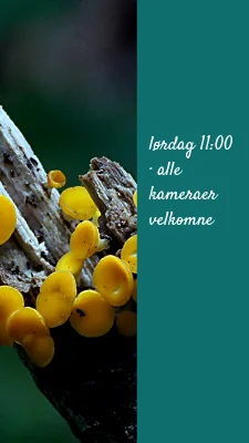 Side 3 av En annen vinkel · helgepostkort