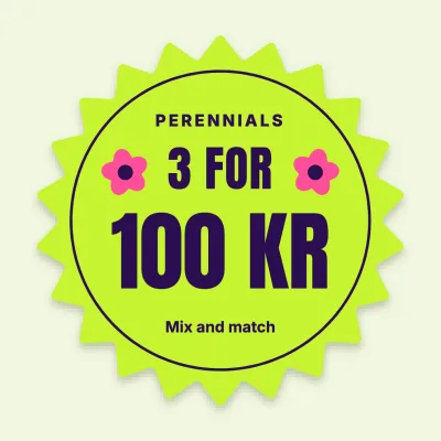 Perennials 3 for 100
