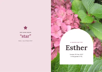Naming day with hydrangeas