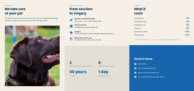 Page 2 de Vet clinic