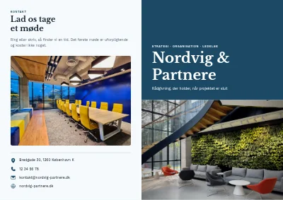 Virksomhedsprofil for et konsulenthus