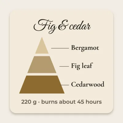 The scent pyramid